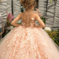 Girls Pink Floral Lace Floor-Length Gown - Flower Girl Dress