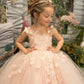 Girls Pink Floral Lace Floor-Length Gown - Flower Girl Dress