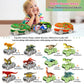 Dinosaur Flexible Race Track Set - Flash Light Car Educational Toy