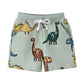 Boys Dinosaur Print Drawstring Shorts - 2-7T Summer Trousers