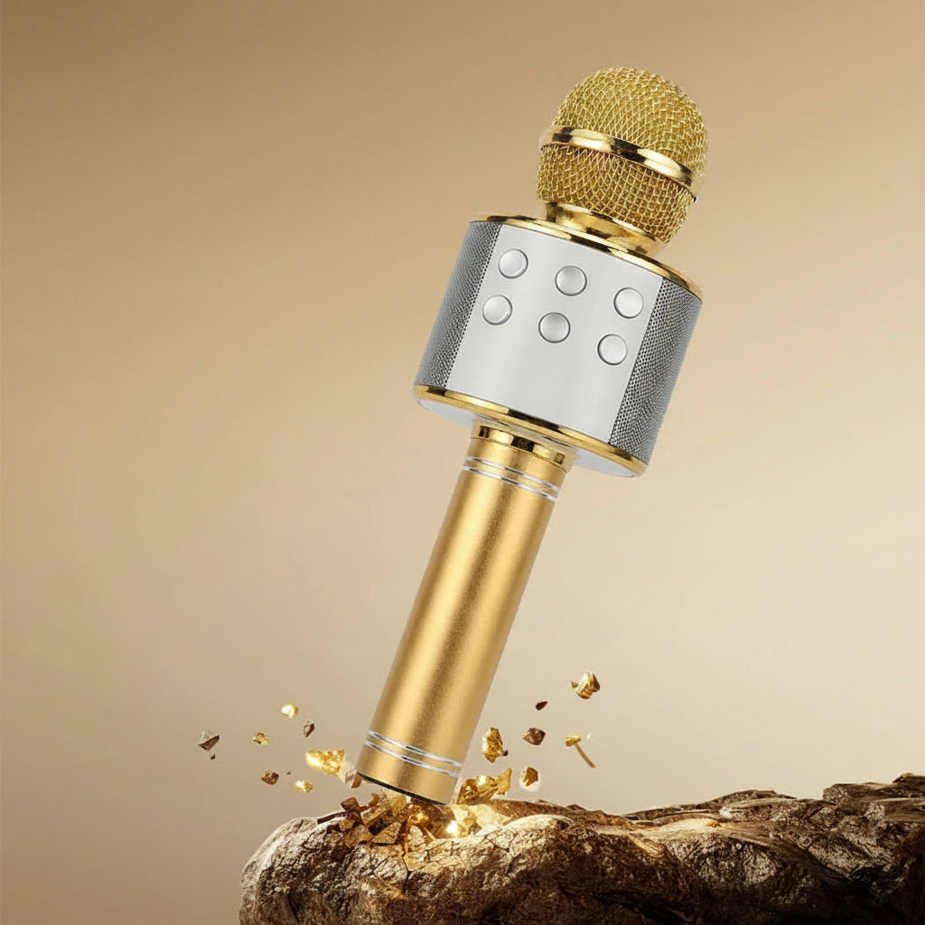 K12 Wireless Bluetooth Karaoke Microphone