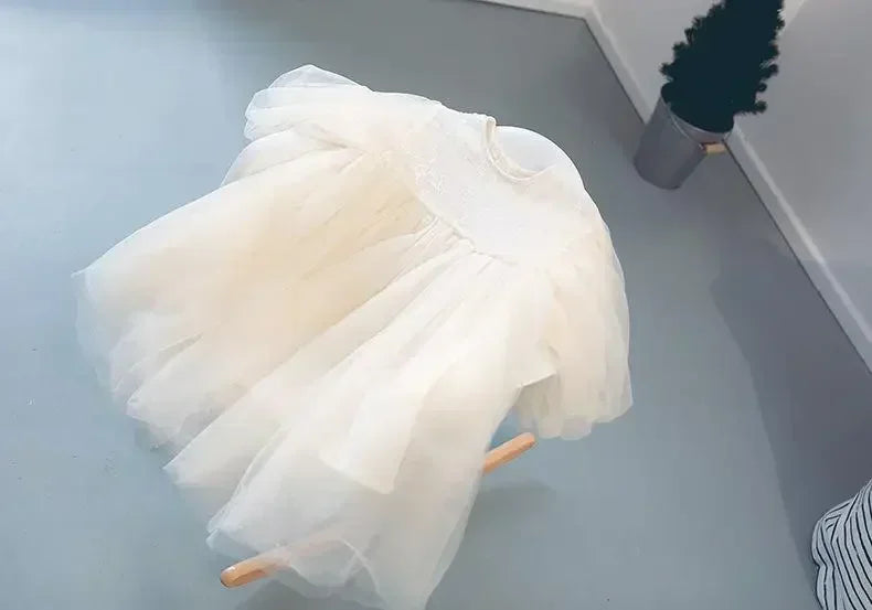 Girls Spring Lace Princess Dress - Sweet Everyday Style
