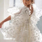 Baby Girls Butterfly Tulle Tutu Dress - Birthday Pageant Look